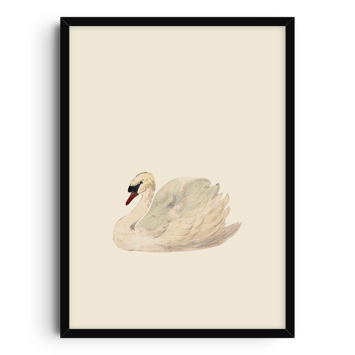 Watercolor illustration of a graceful swan with soft shades of cream, white, and light gray, set against a minimalist eggshell white background. The serene and elegant swan floats calmly, perfect for nature-themed or minimalist decor.