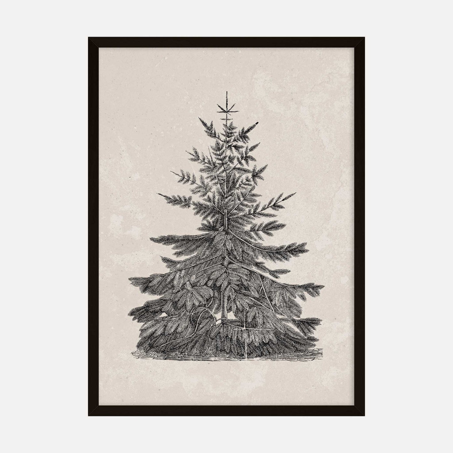 Vintage black and white Christmas tree art print, minimalist holiday decor.