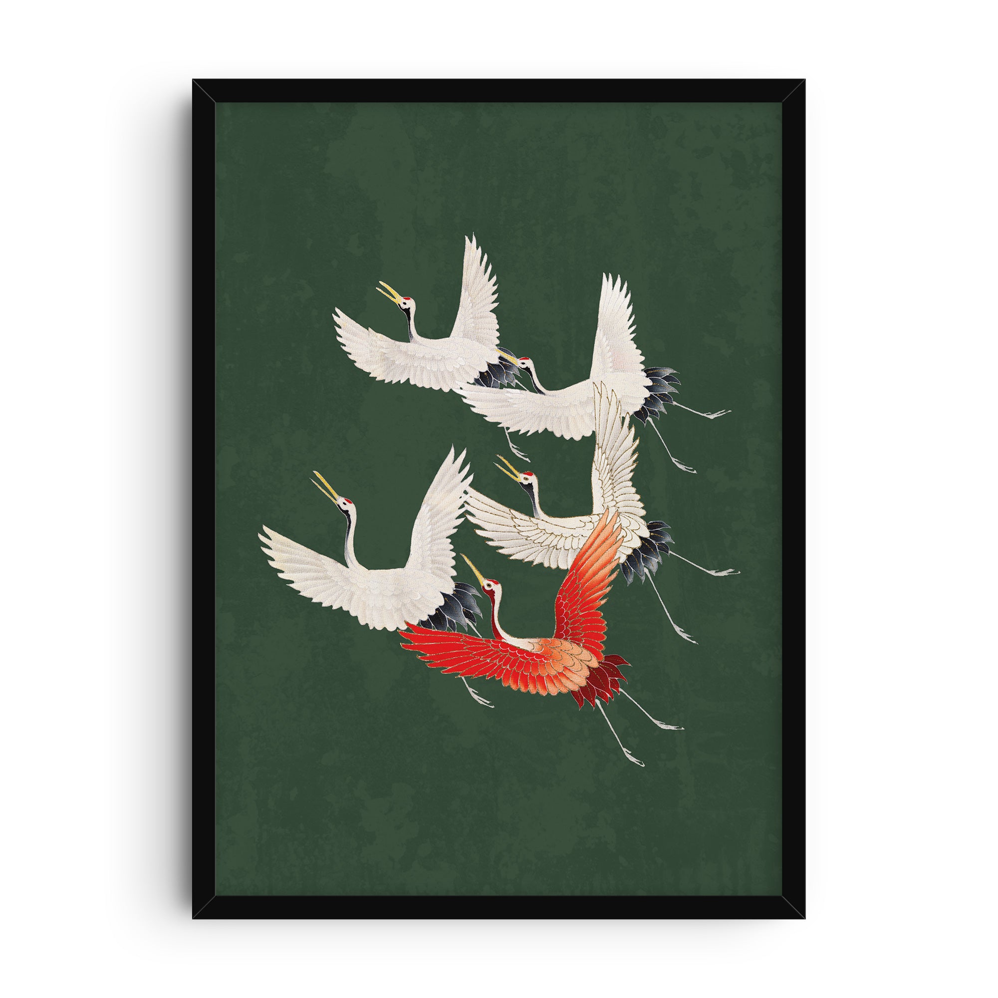 Japanese-inspired art print of five cranes flying against a dark green background, with four in white and one in red. A graceful and symbolic wall poster.