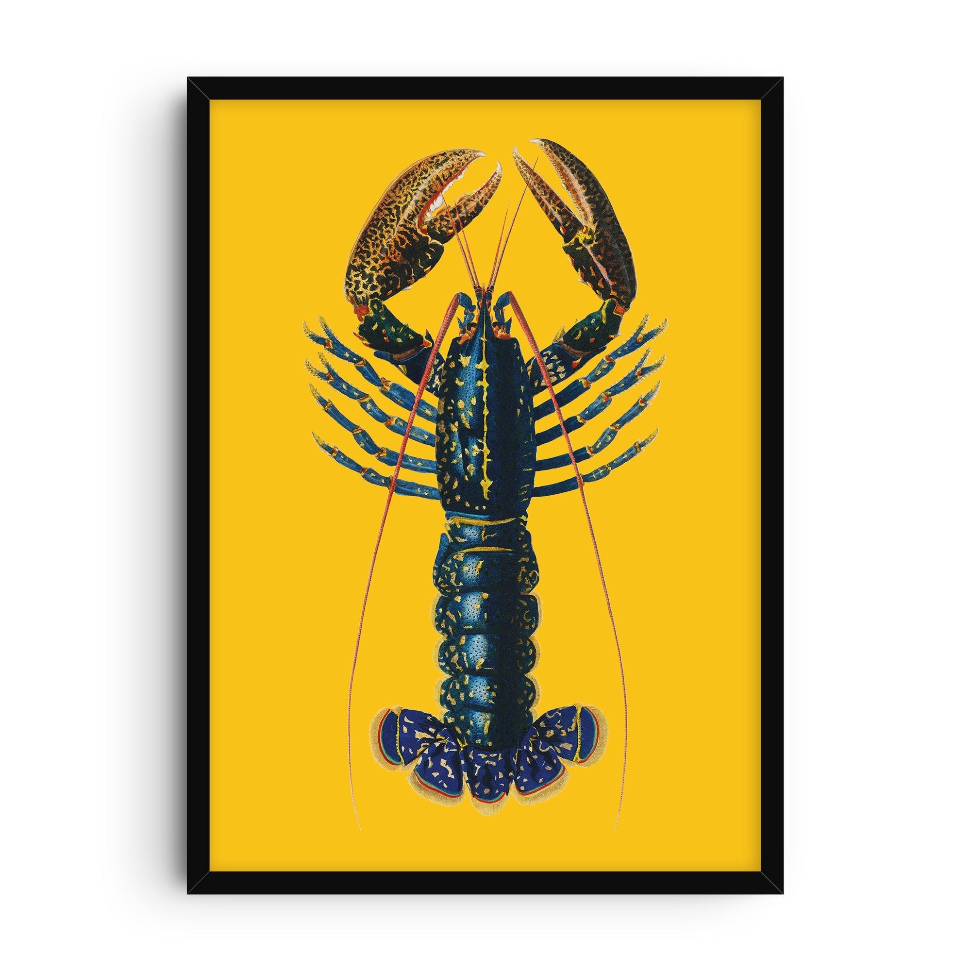 Detailed illustration of a lobster in blue and red tones set against a bold yellow background, creating a vibrant modern art print with strong contrast.