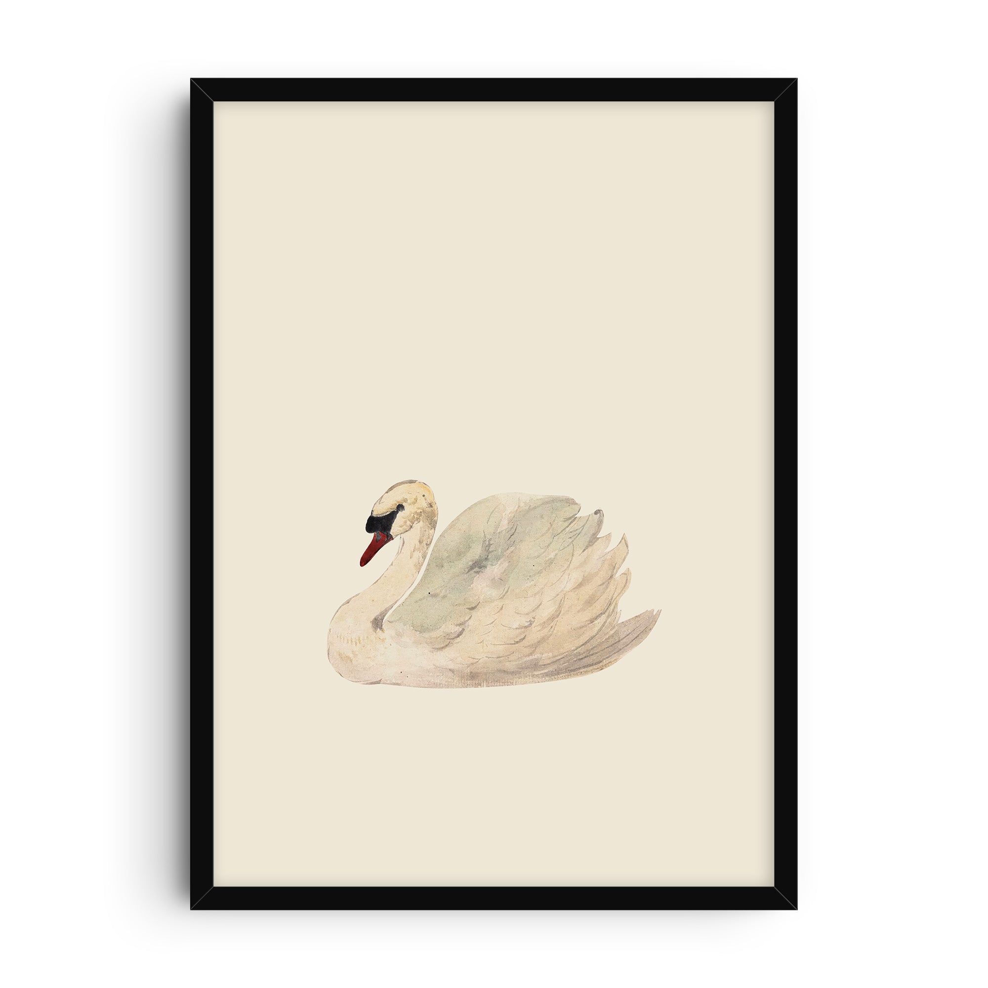 Minimalist art print of a swan in soft natural tones, detailed illustration with a light background, blending vintage charm and modern simplicity.