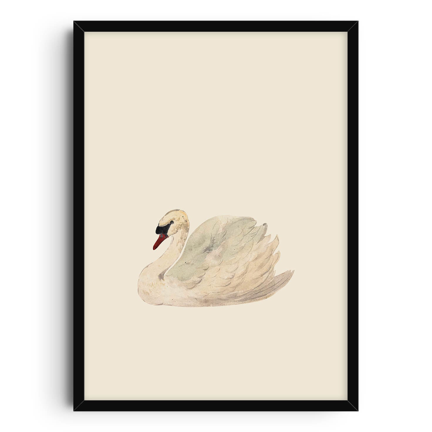 Watercolor illustration of a graceful swan with soft shades of cream, white, and light gray, set against a minimalist eggshell white background. The serene and elegant swan floats calmly, perfect for nature-themed or minimalist decor.