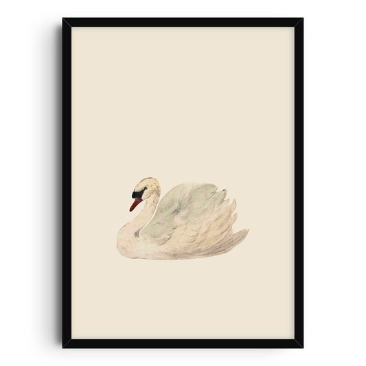 Watercolor illustration of a graceful swan with soft shades of cream, white, and light gray, set against a minimalist eggshell white background. The serene and elegant swan floats calmly, perfect for nature-themed or minimalist decor.